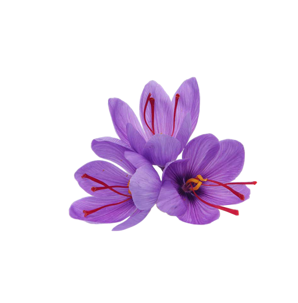 Kashmiri Saffron